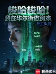 梭哈梭哈！我在华尔街做资本txt下载